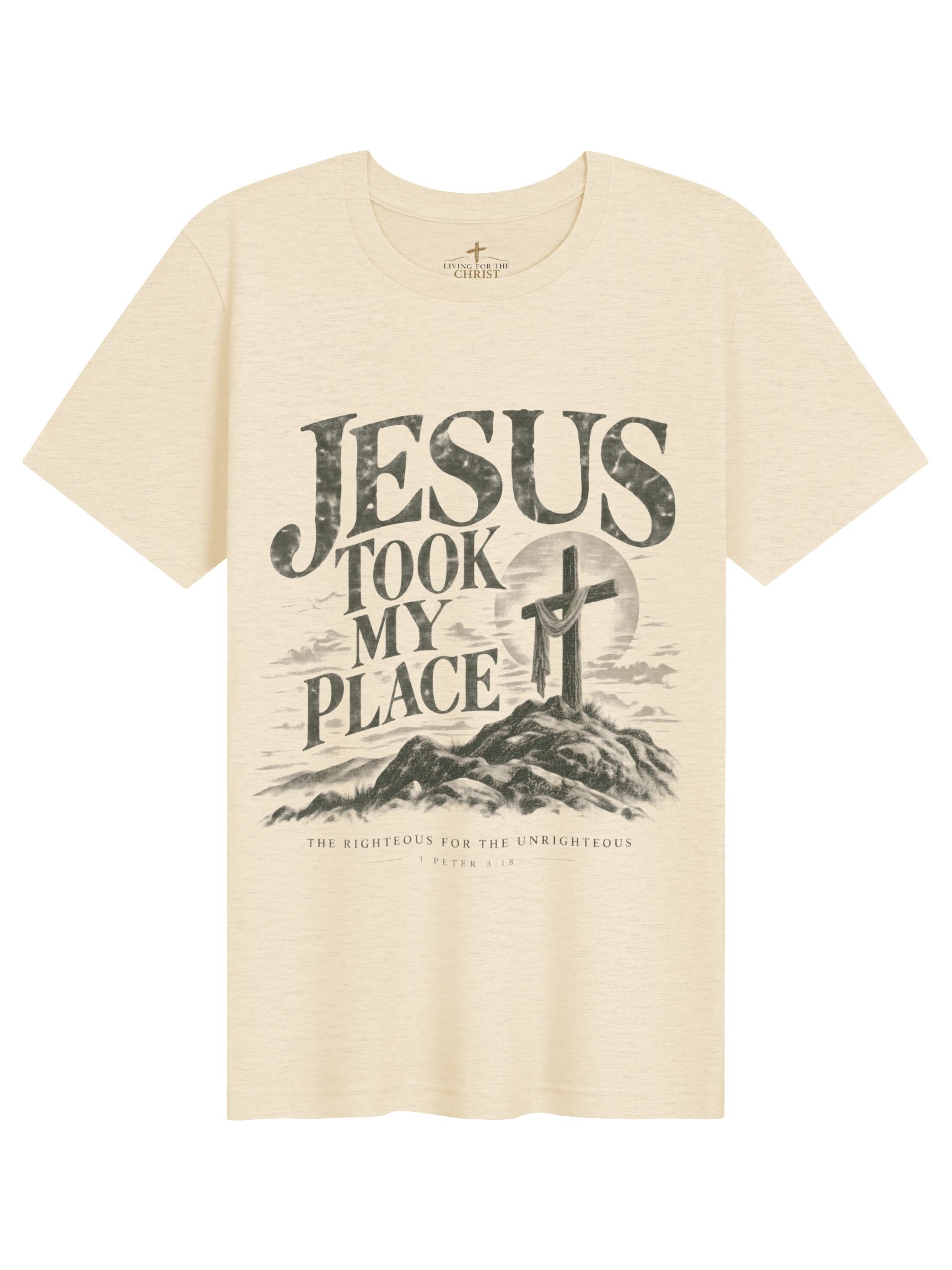 Jesus Took My Place Unisex Premium T-Shirt – 1 Peter 3:18 Christian Tee product image (118)