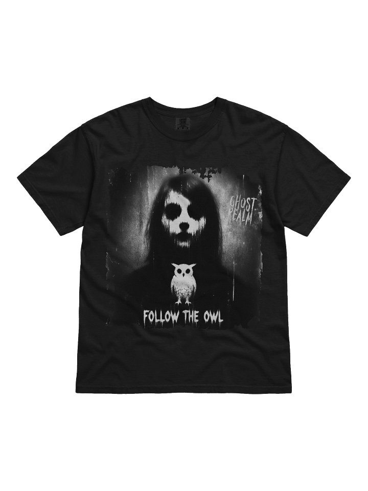 GHOST REALM | FOLLOW THE OWL | 1st Edition product image (1)