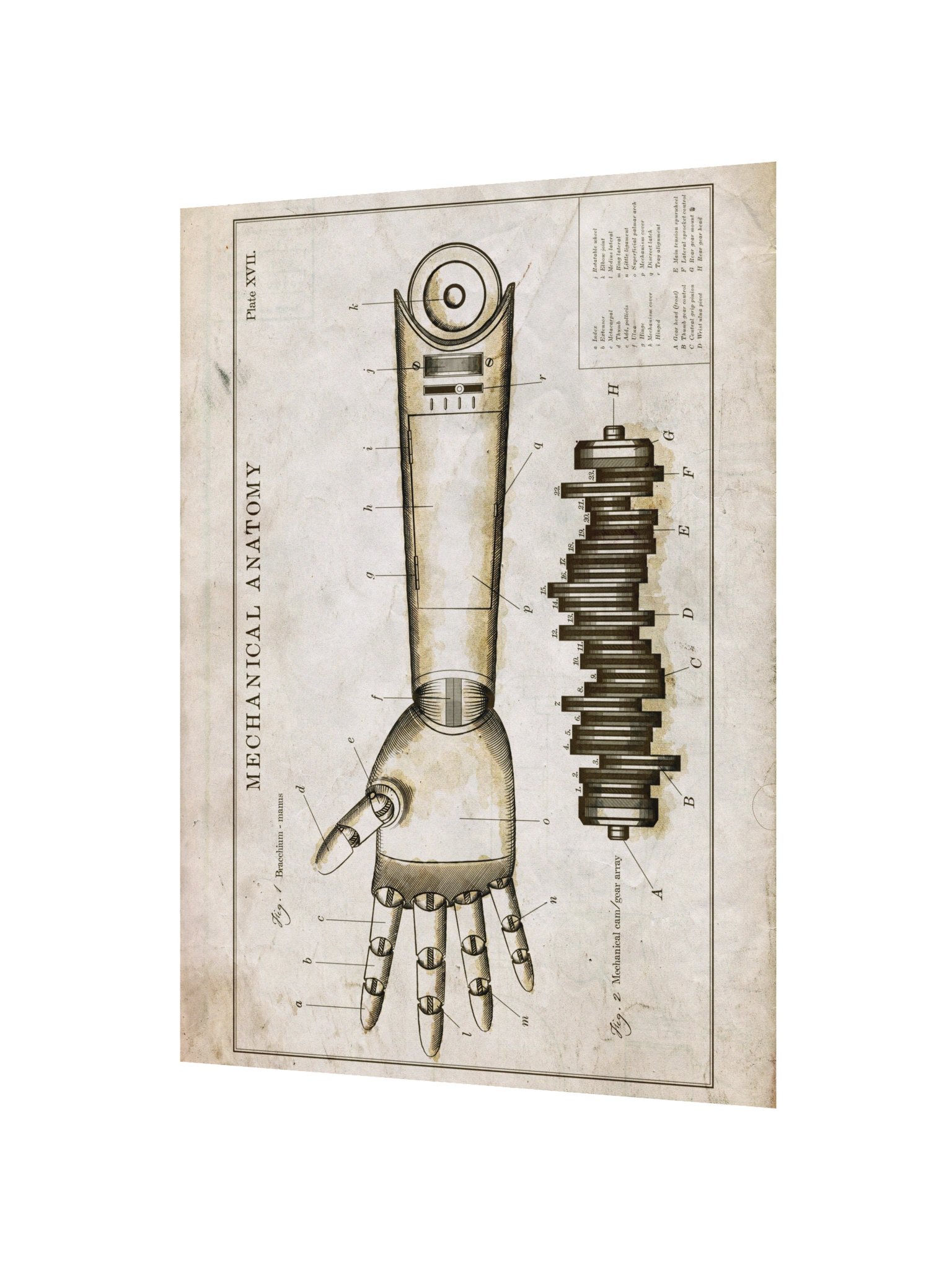 The Room - Mechanical Arm A product image (2)