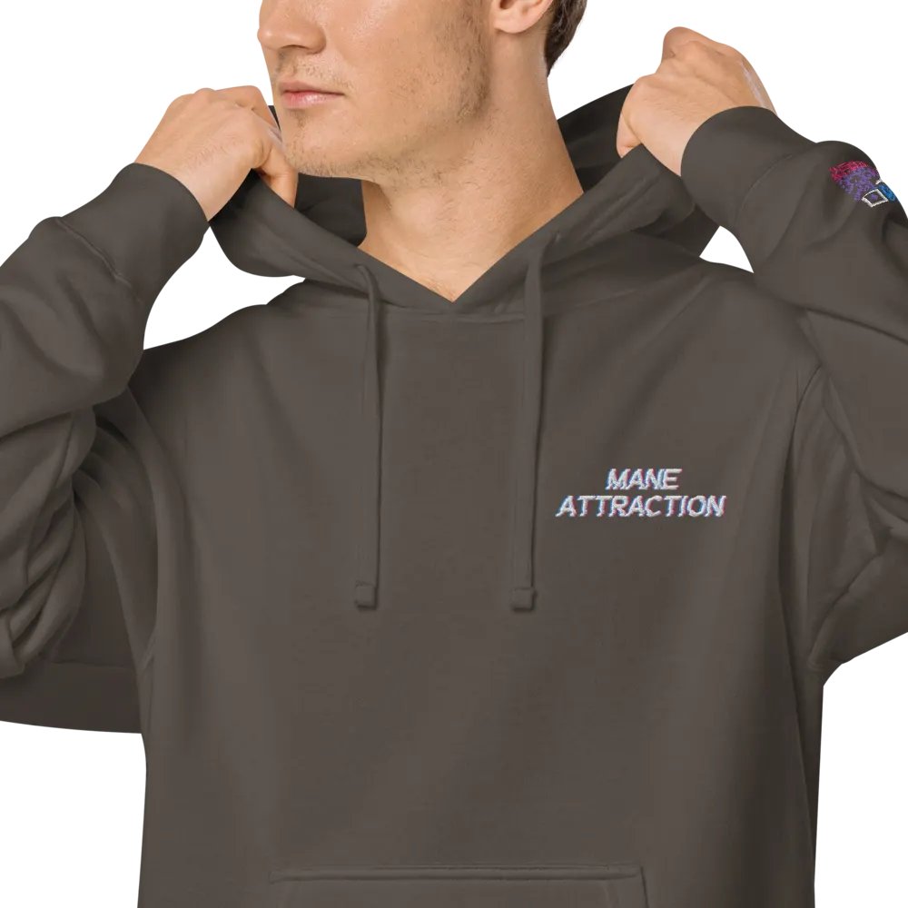 MA Embroidered Hoodie product image (9)