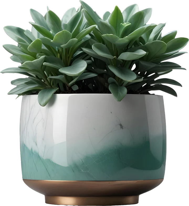 Jade Signature – Faceted Jade Planter PNG product image (1)