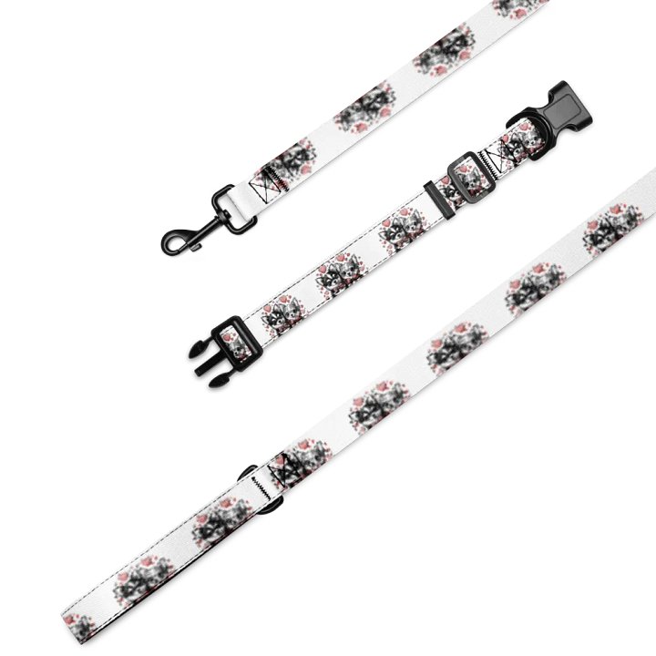 Vibrant Lines Pet Collar & Leash Set product image (1)