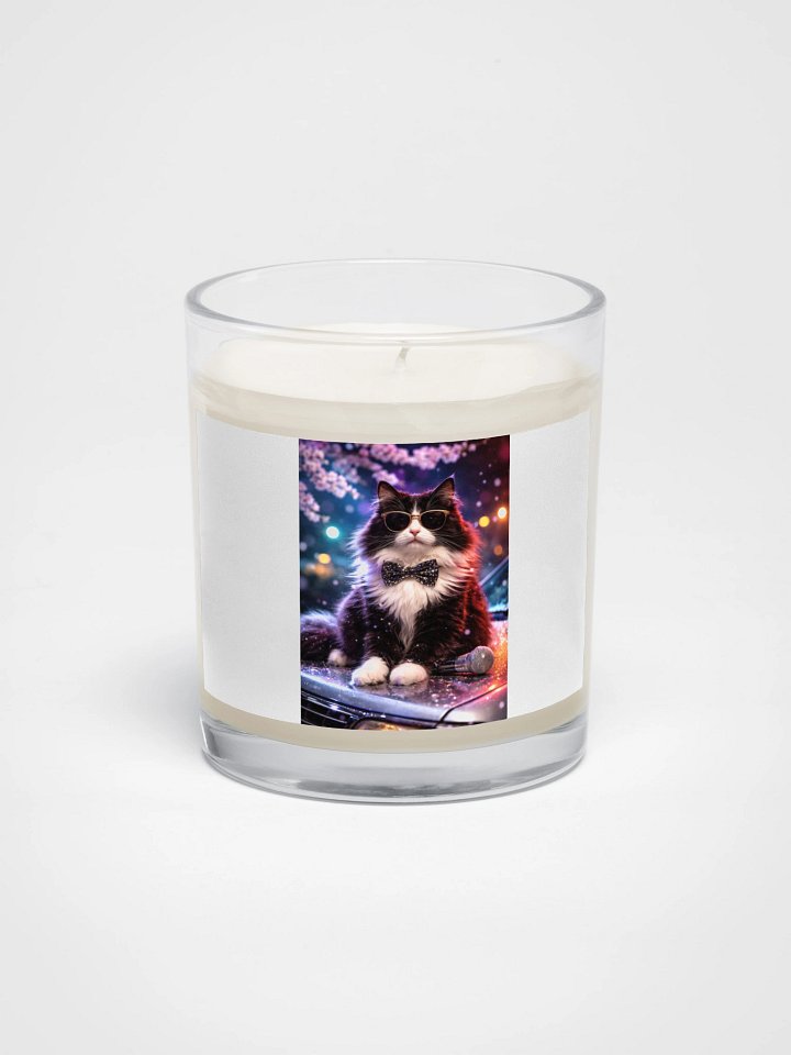 Chaplin, feline fancy. product image (1)