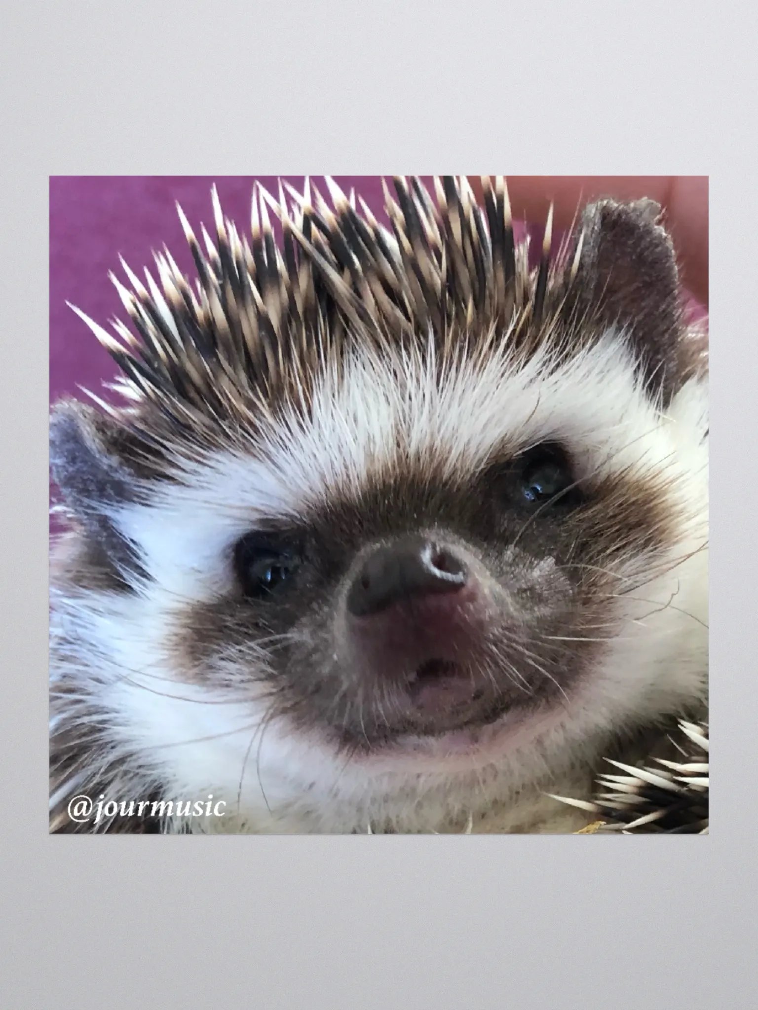 HHjam Sticker product image (1)