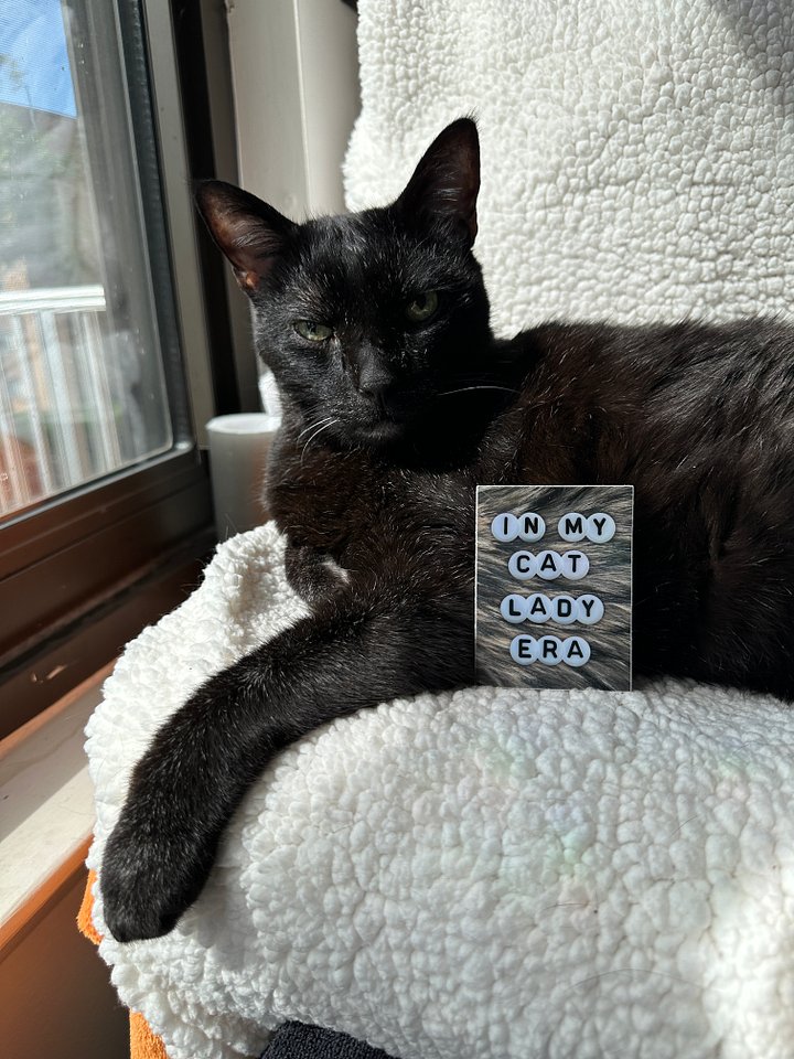 In My Cat Lady Era sticker product image (2)