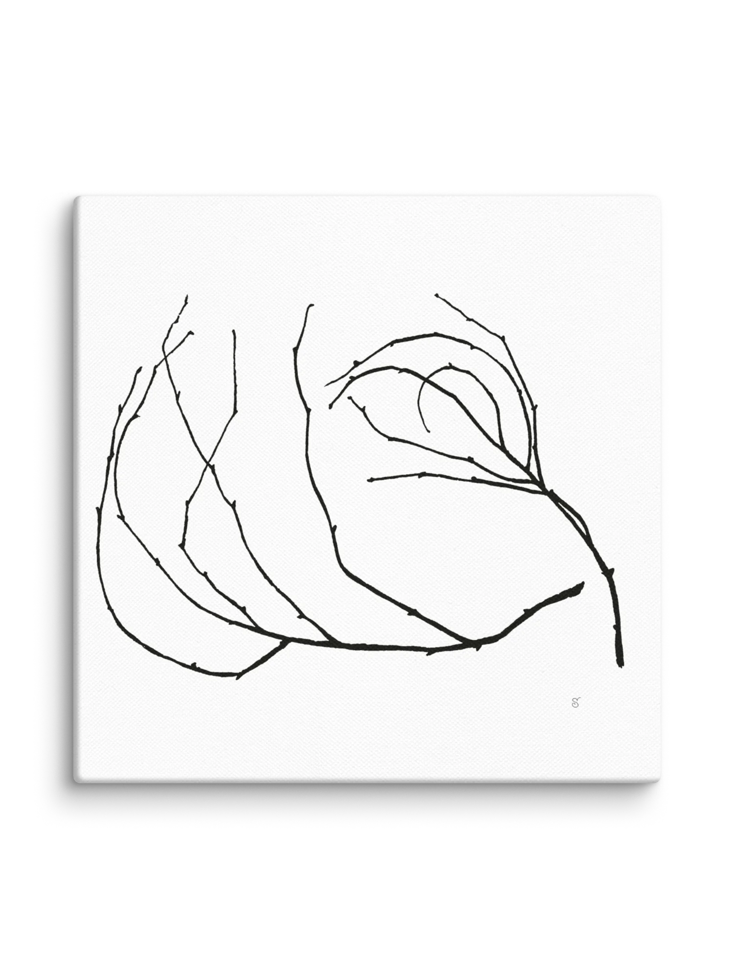 Visionary Canvas Collection - Stylized Branch product image (2)