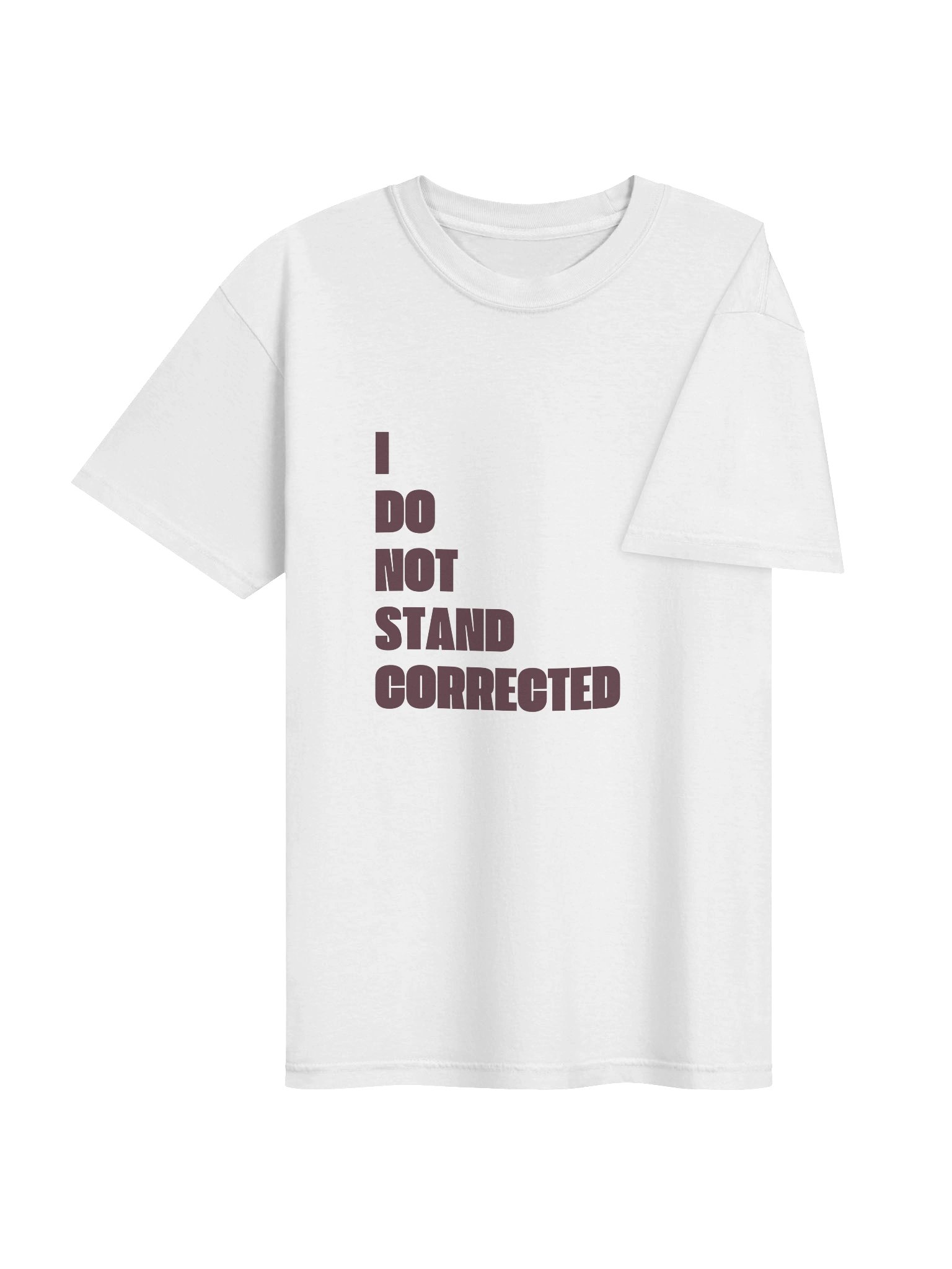 I DO NOT STAND CORRECTED product image (4)