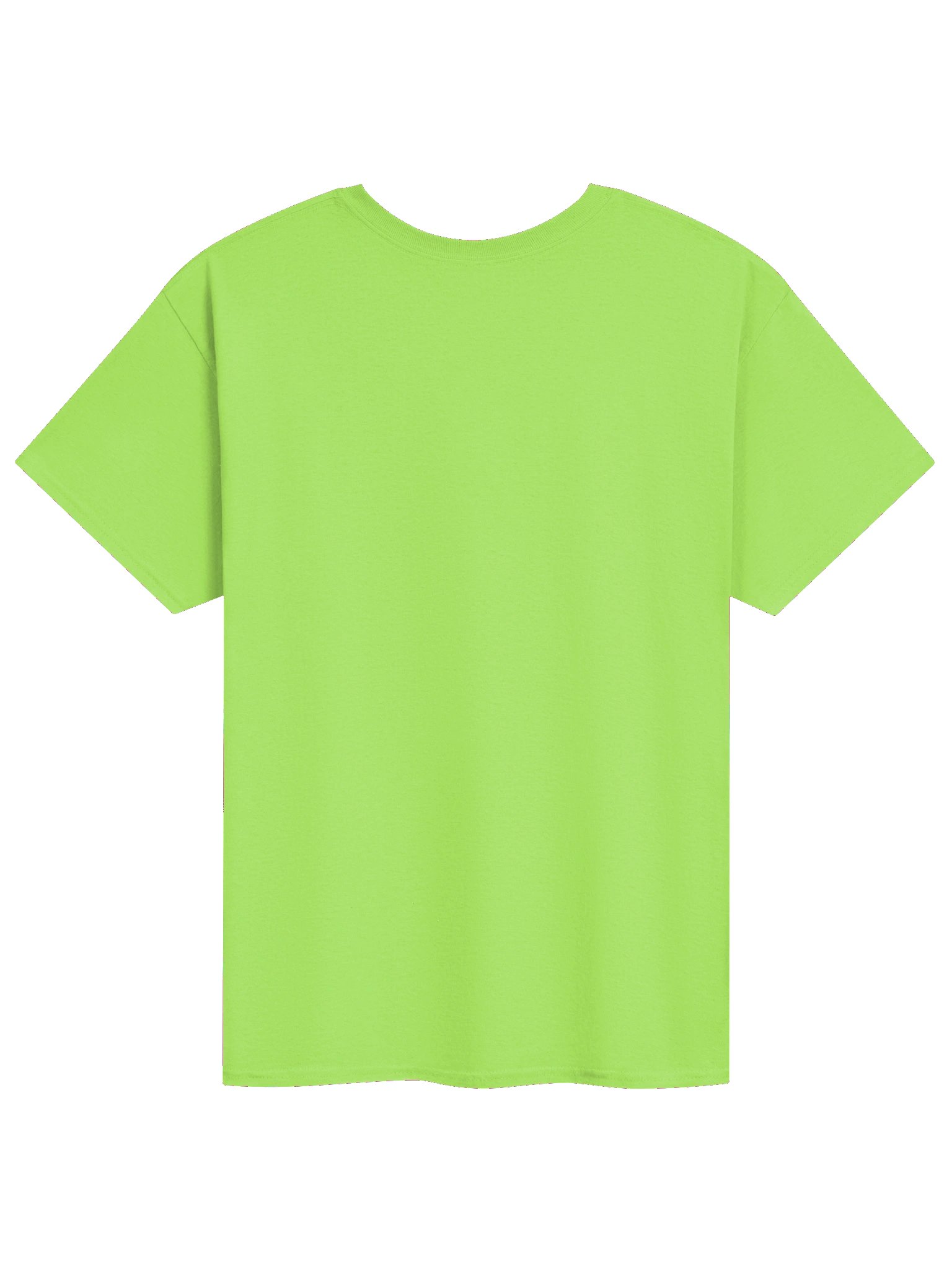 Dragon Watercolour Heavyweight T-Shirt product image (26)