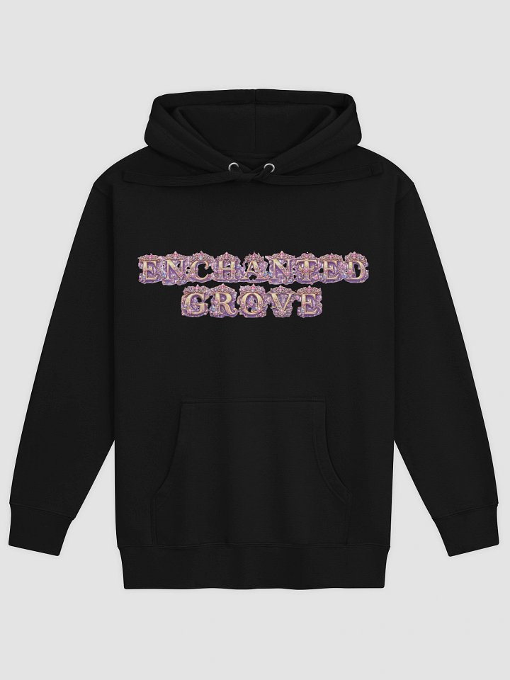 Kingdoms Diplomat Unisex Hoodie product image (1)