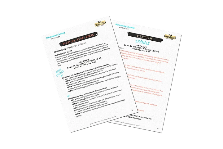 THE NOVEL: A Story Simplified Workbook (Printable) product image (2)