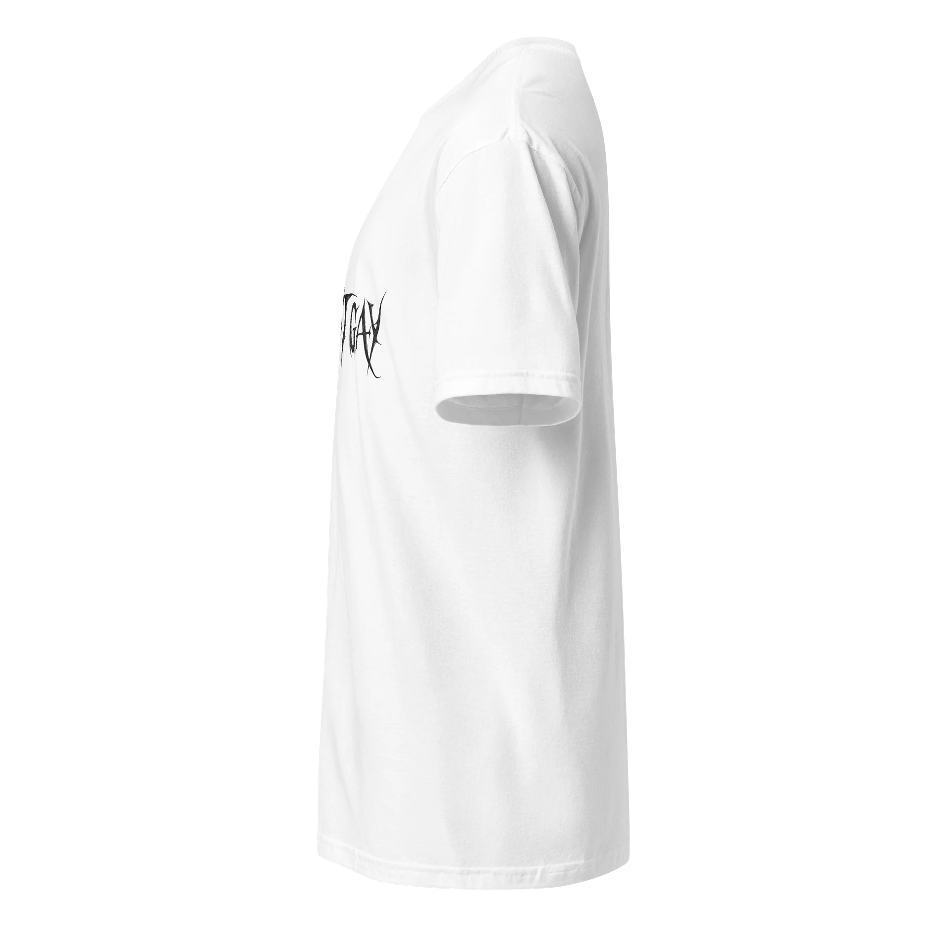 I'm Not Gay product image (3)