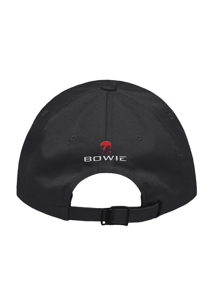 Bowie SpaceX Dog - Hat product image (2)