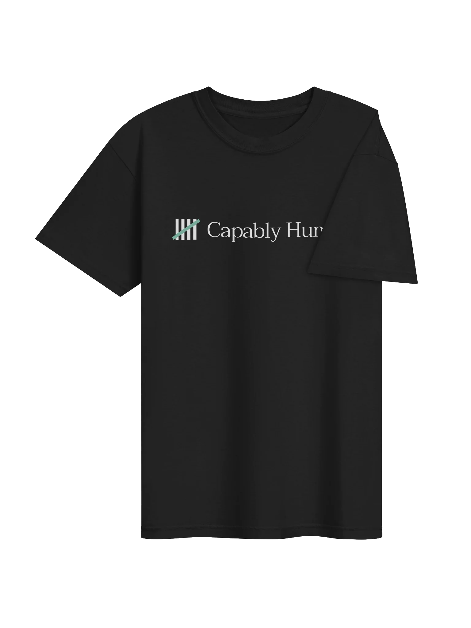 Capably Human - Dyed Heavyweight T-Shirt product image (7)