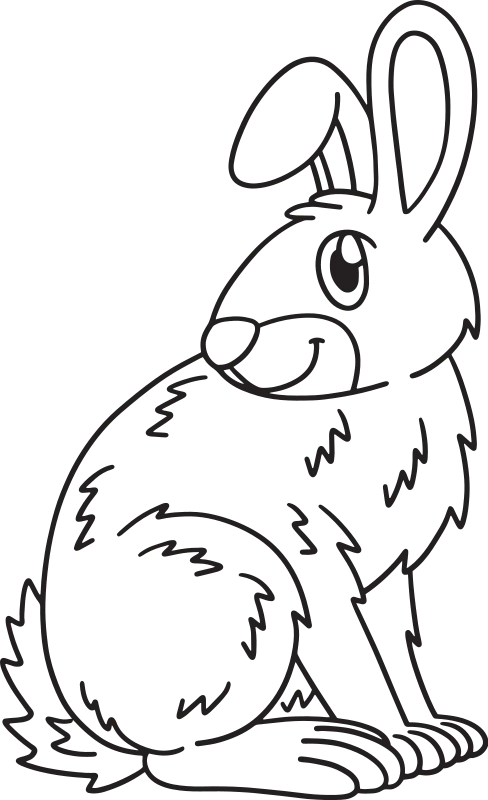 Animal Coloring Pages product image (1)