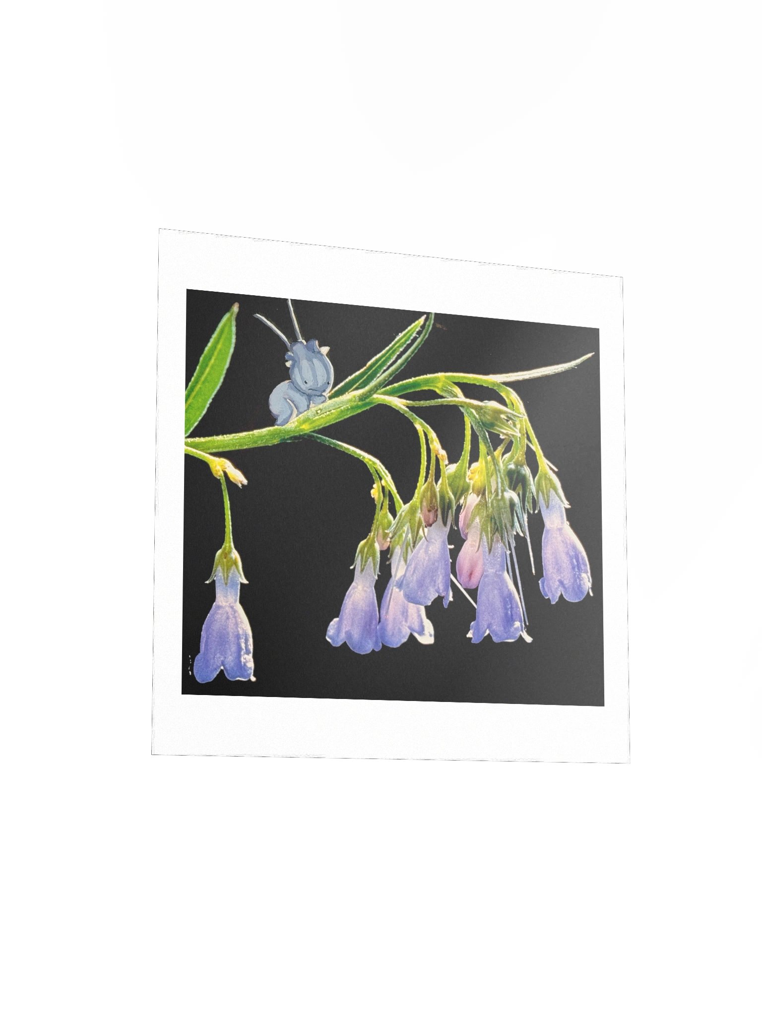 Bluebell Groibling product image (11)