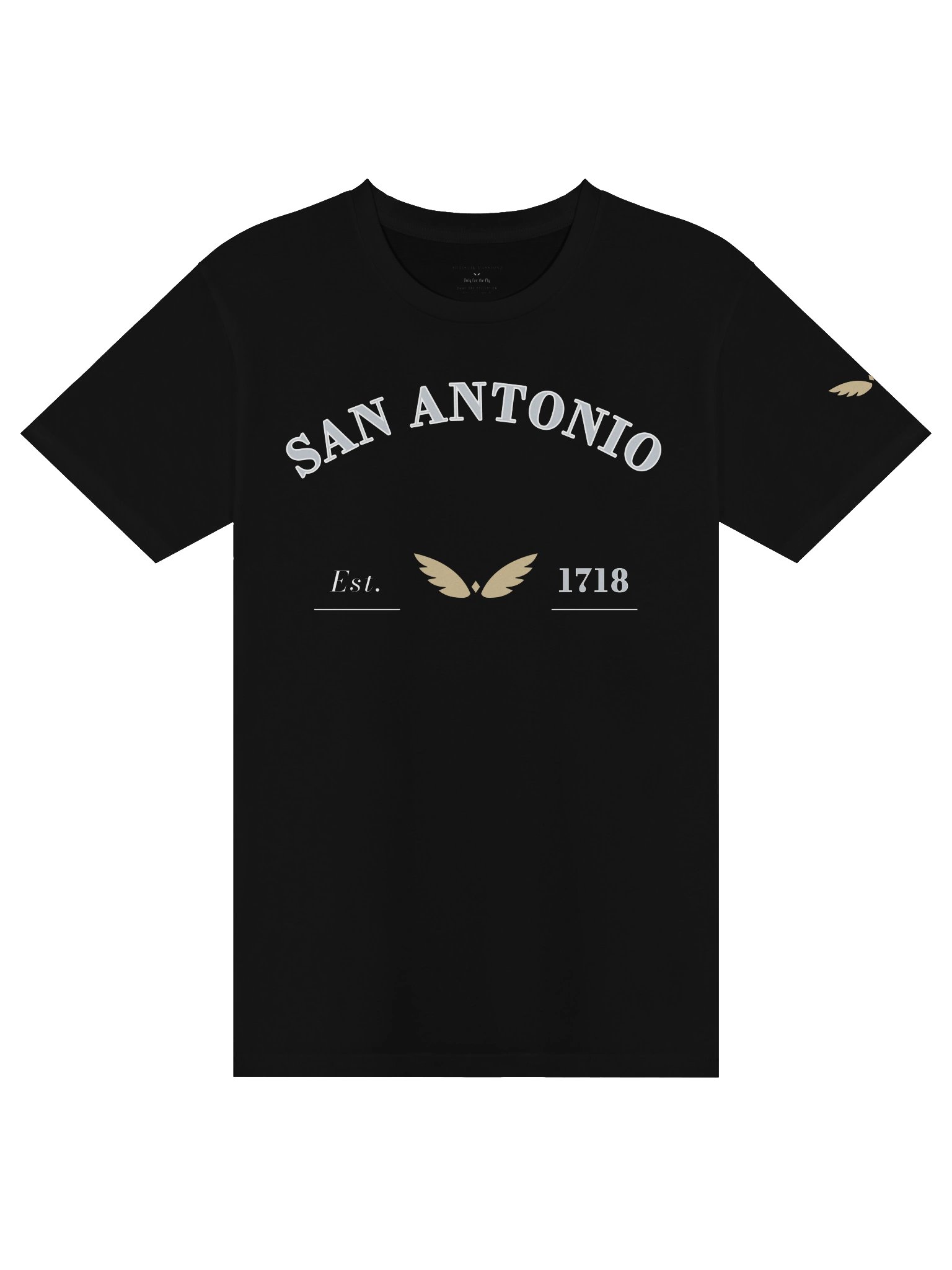 GAME DAY — Alamo City · Tee · Black product image (1)
