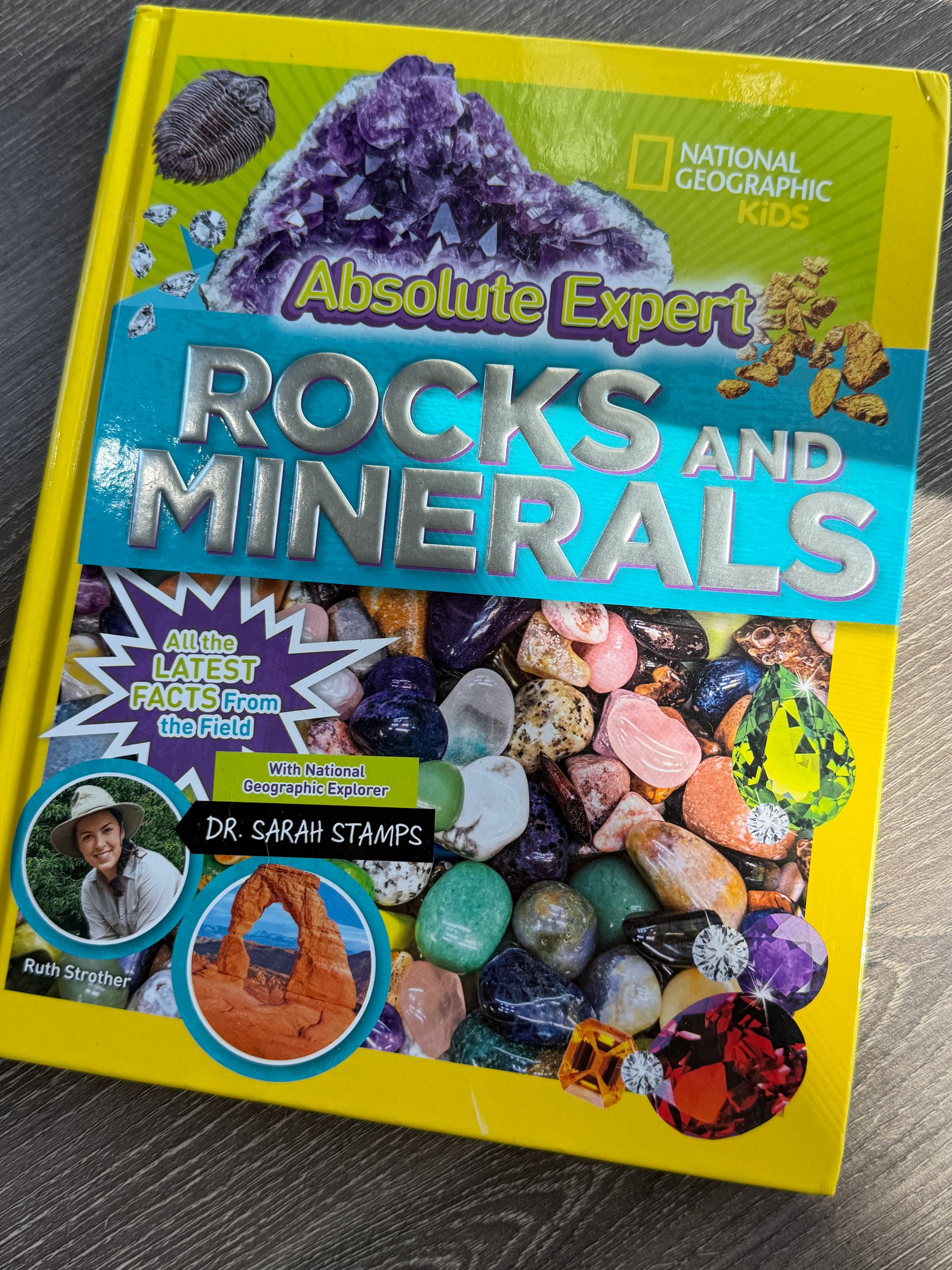 National Geographic Kids Absolute Expert: Rocks & Minerals | Ruth Strother | Hardcover product image (1)