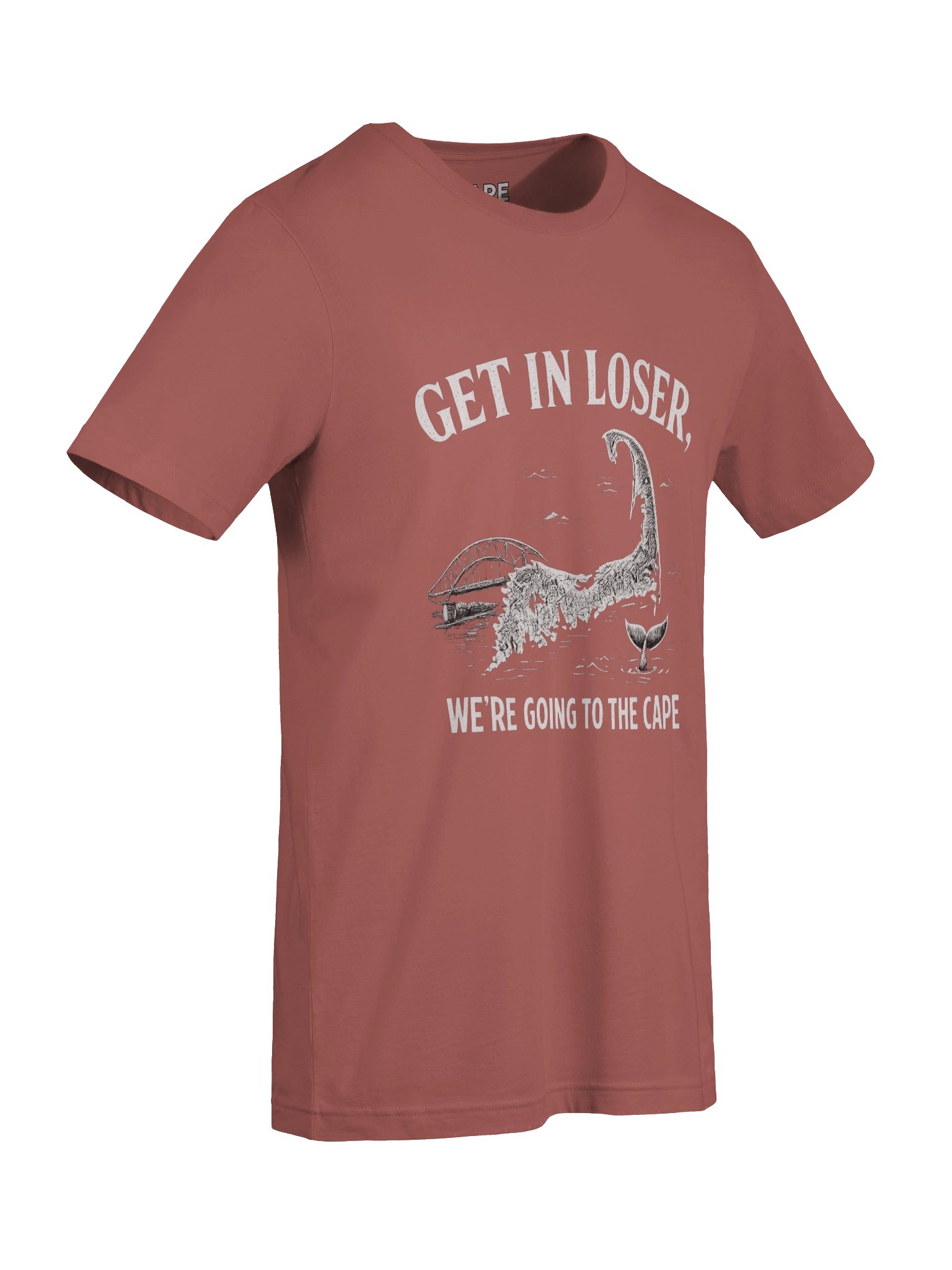 Get in Loser, We're Going to the Cape T-Shirt (Light) product image (9)