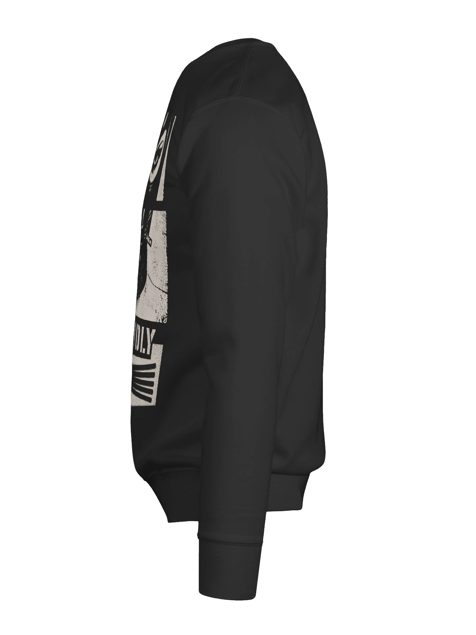 Pet Friendly Premium Sweatshirt product image (9)