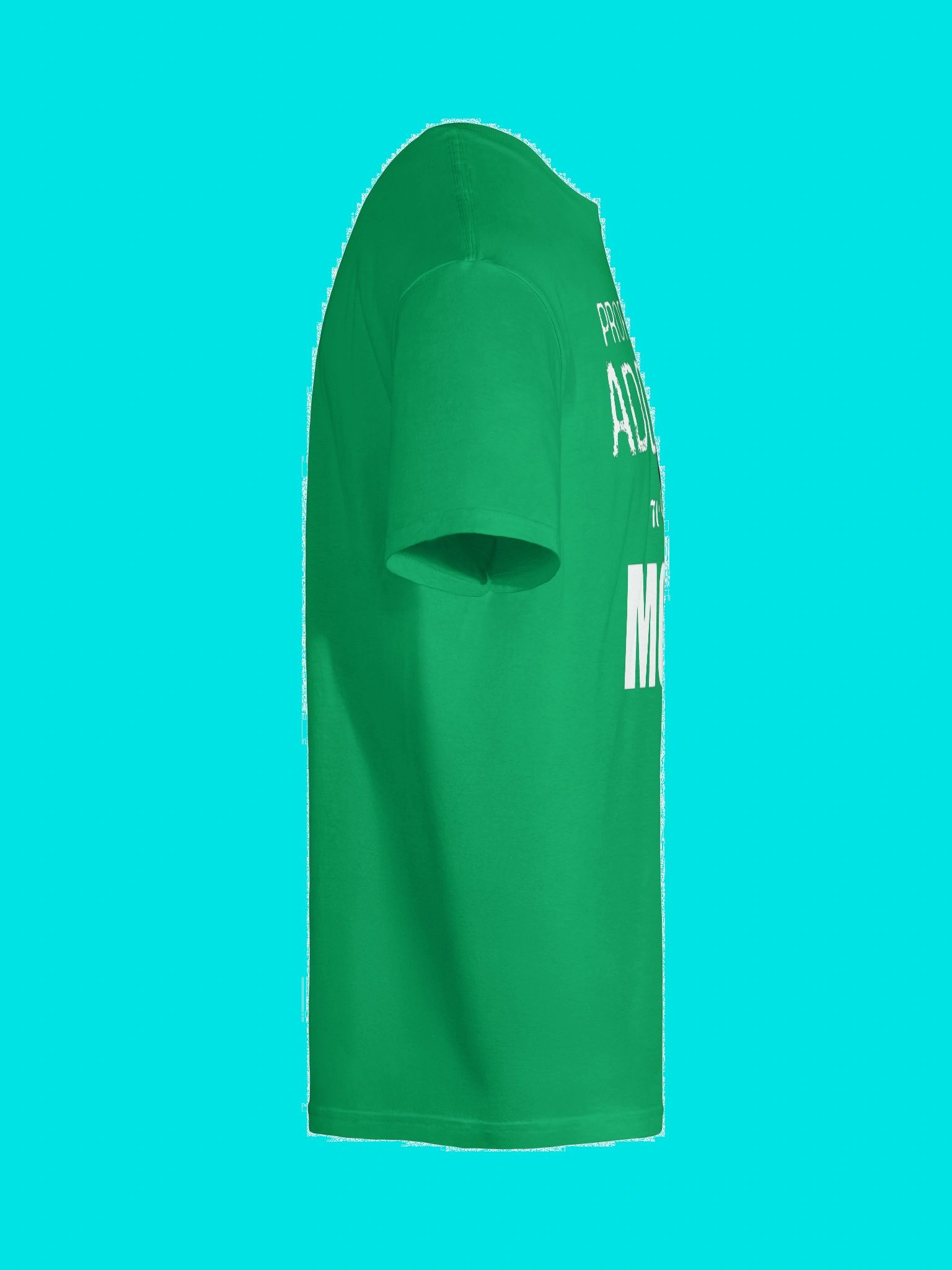 Professionally Addicted to Movies TRUTHER EDITION - the official Record 37 shirt, enhanced product image (7)