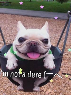 cuteee