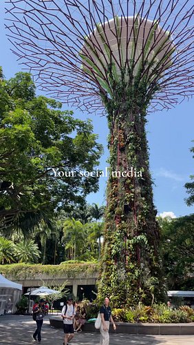 This page started as a dream I was not sure I was brave enough to say out loud.

A mom in Bali, trading from her phone, homes...