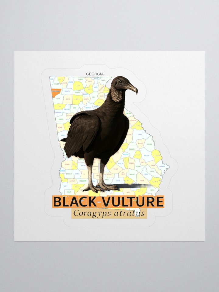 Georgia Black Vulture Map Sticker product image (4)