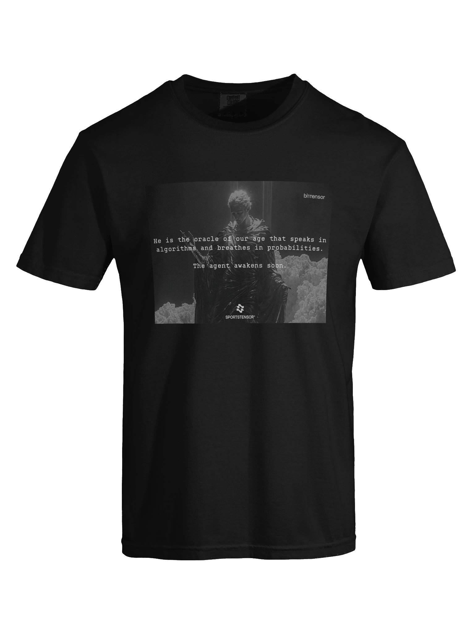 SN41 - Heavyweight T-Shirt product image (7)