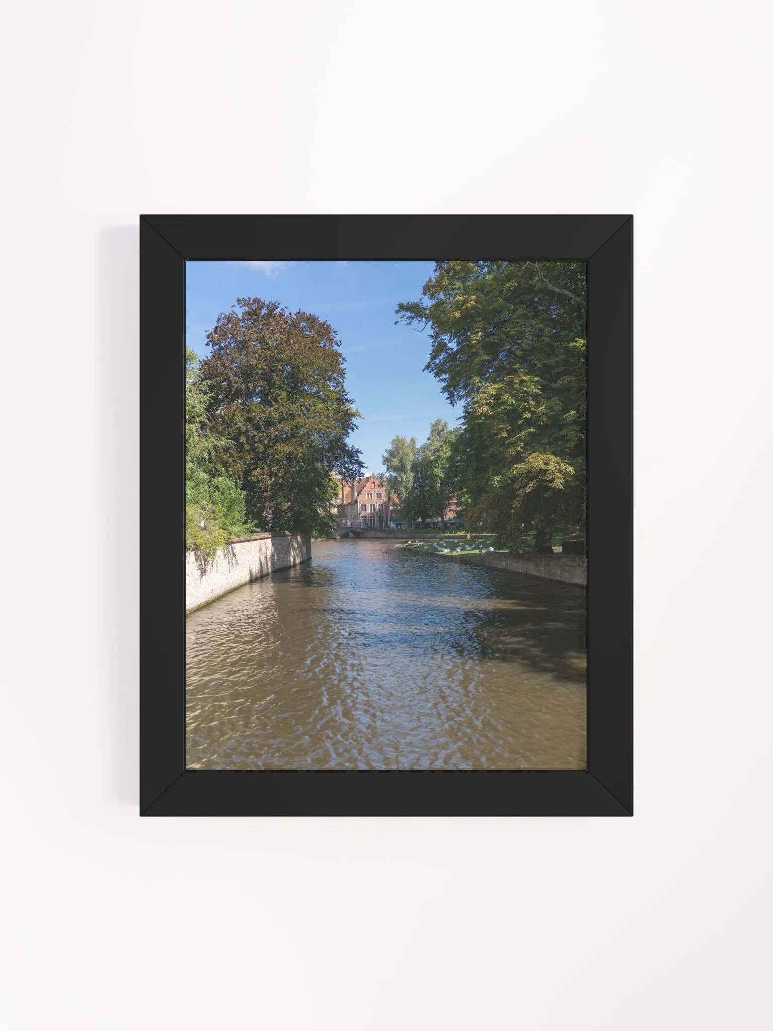 Nature with beautiful canal product image (4)