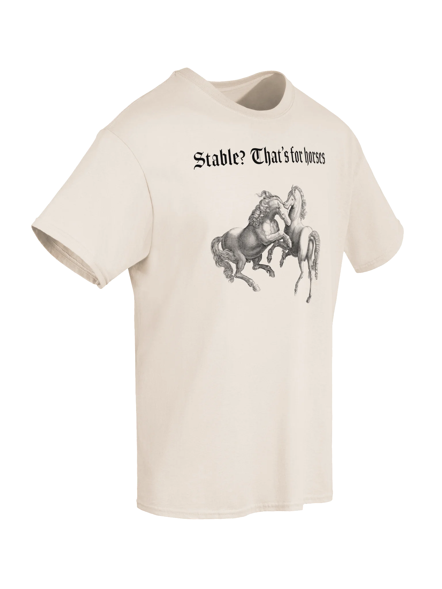 Stable? That's for horses product image (56)