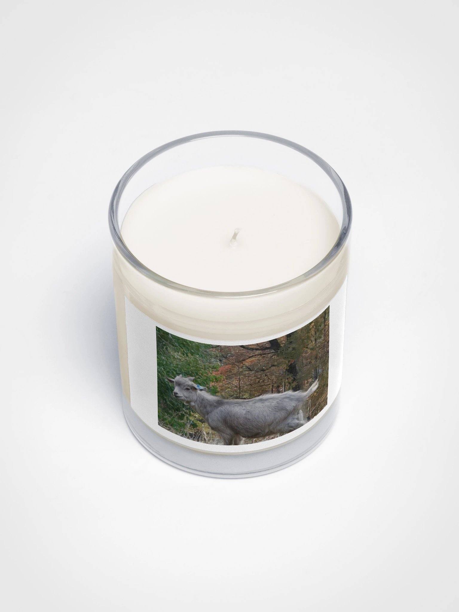 Autumn Goat Soy Wax Candle product image (3)