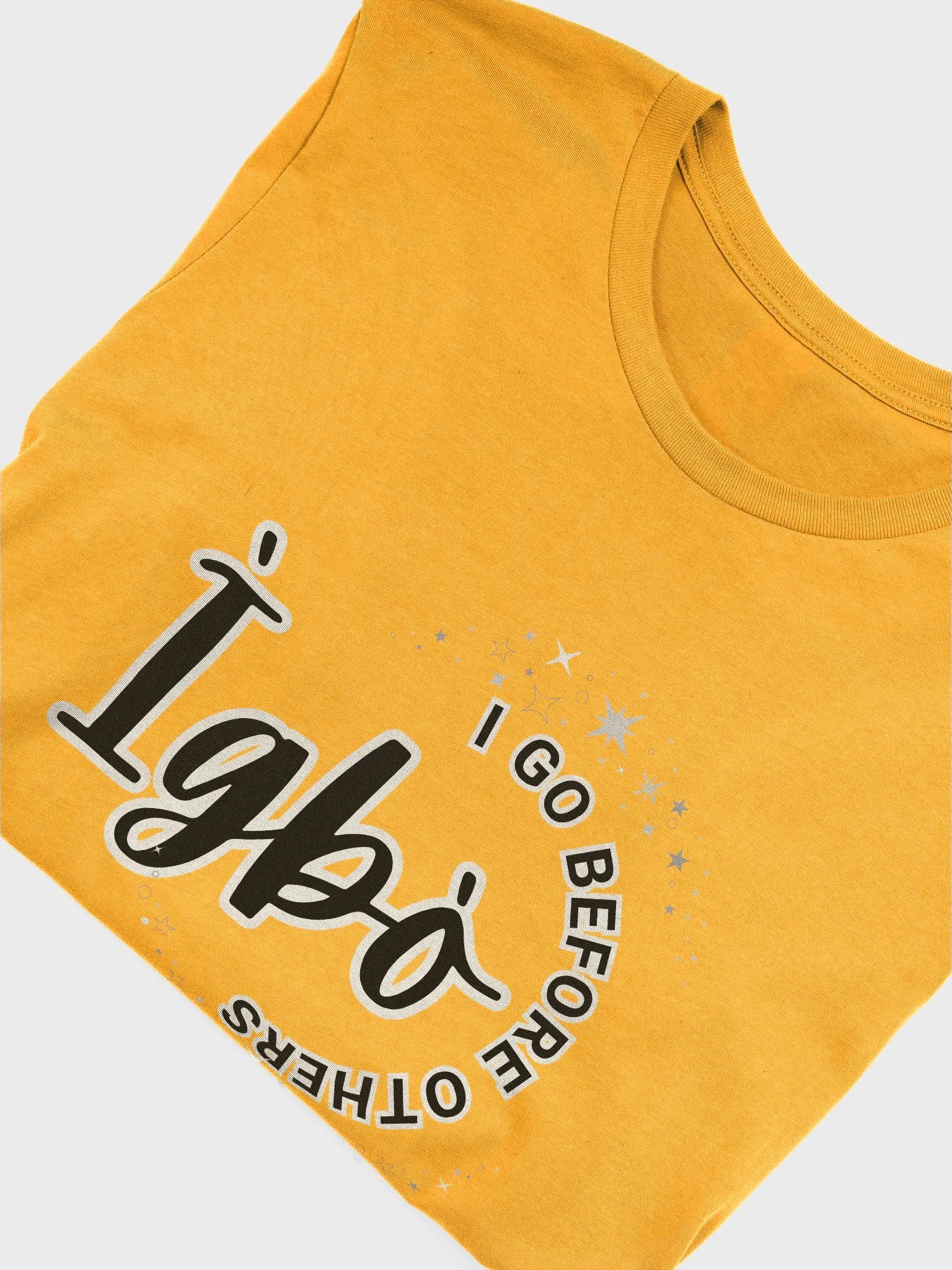 IGBO Identity Emblem Supersoft Unisex Tee product image (5)