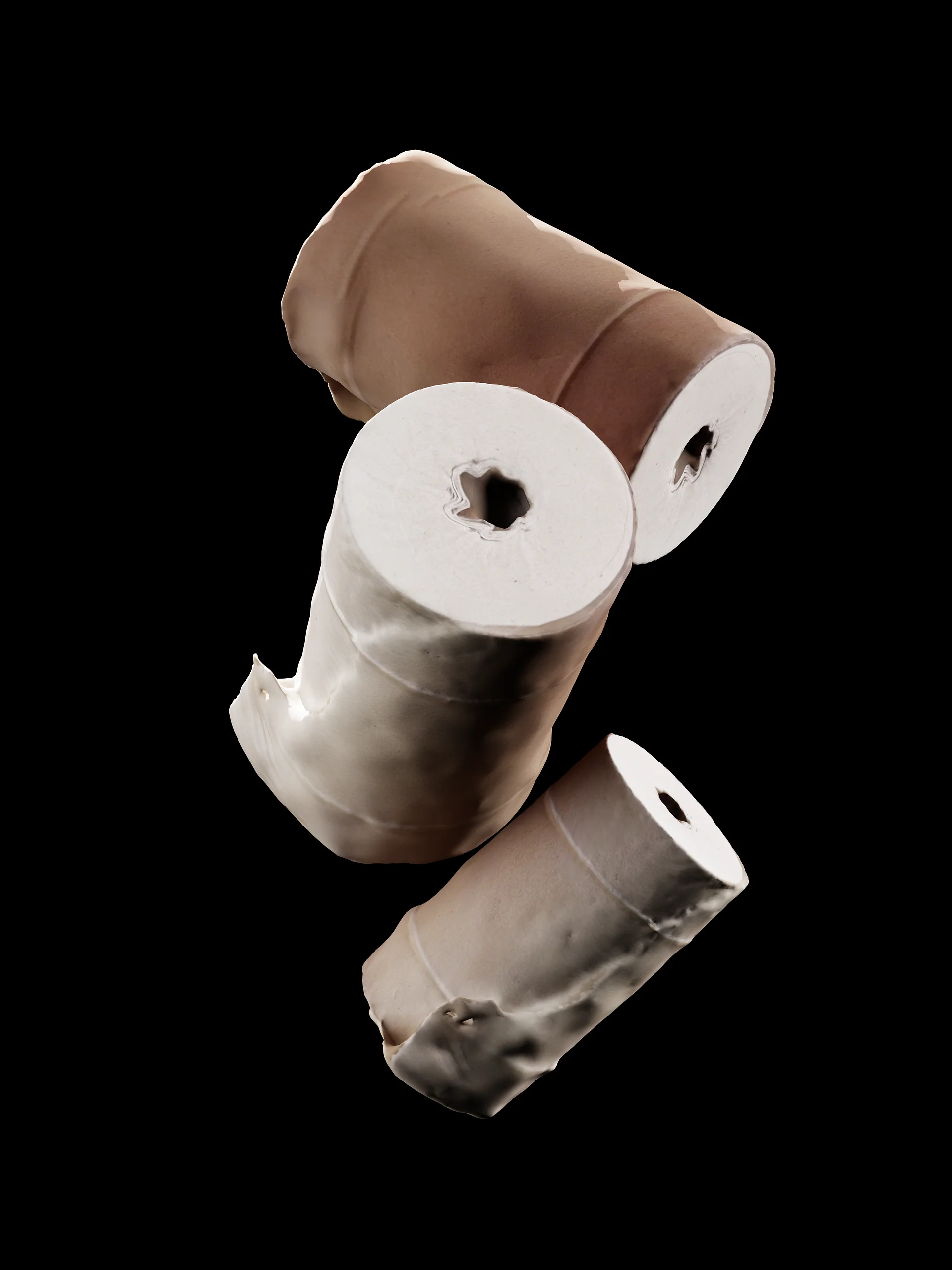 Toilet Paper 3D Scan product image (1)