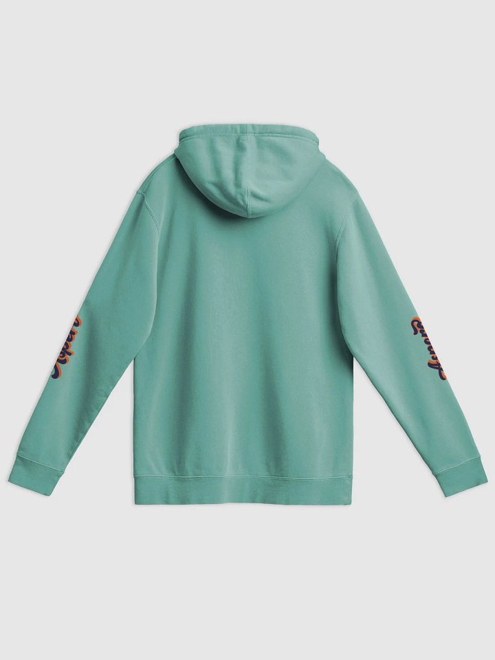 Aspero Signature Vintage Hoodie product image (42)