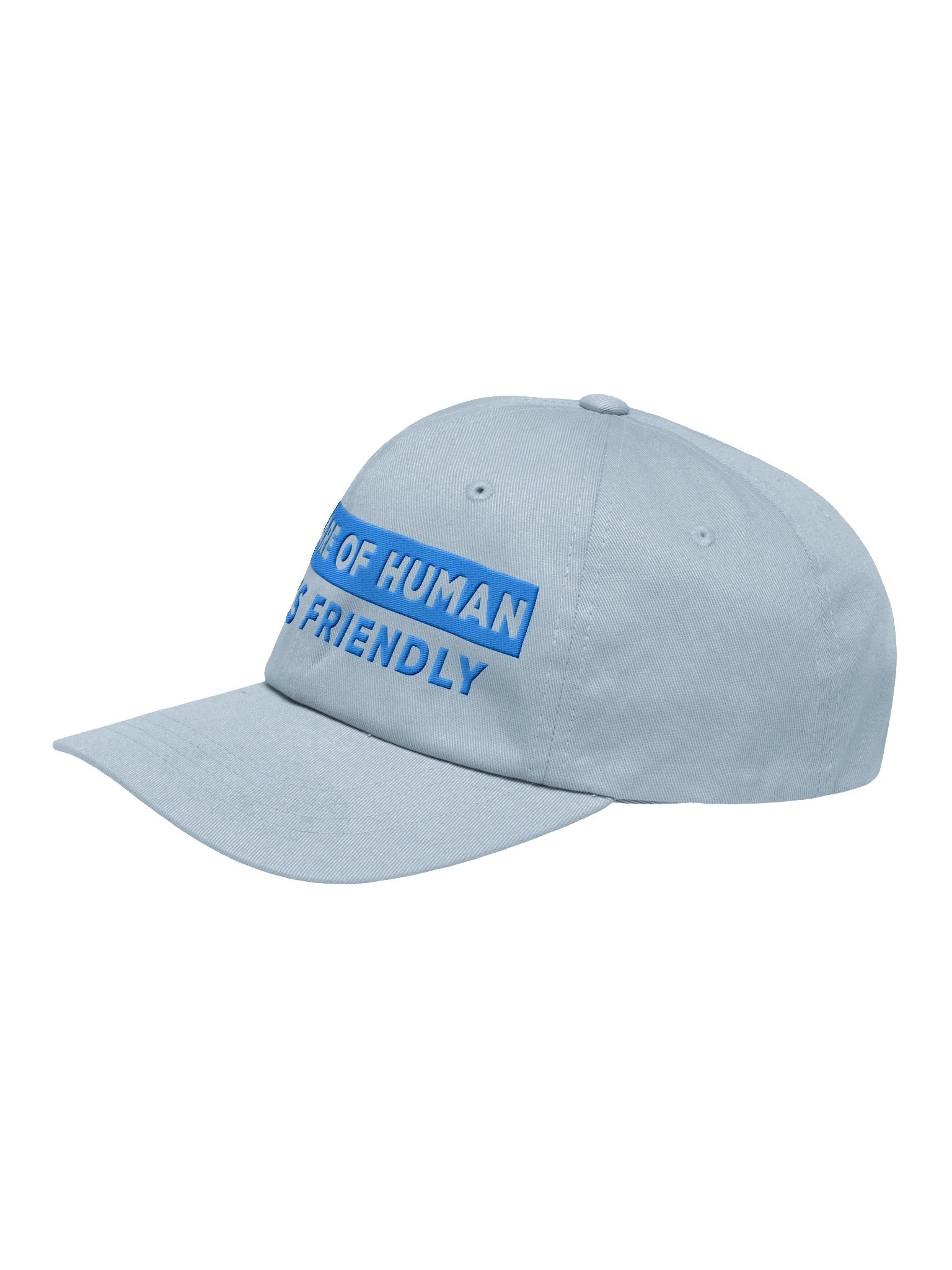 Beware of Human. Dog Is Friendly (Embroidered) Low Contrast (Aqua)Classic Dad Hat product image (4)