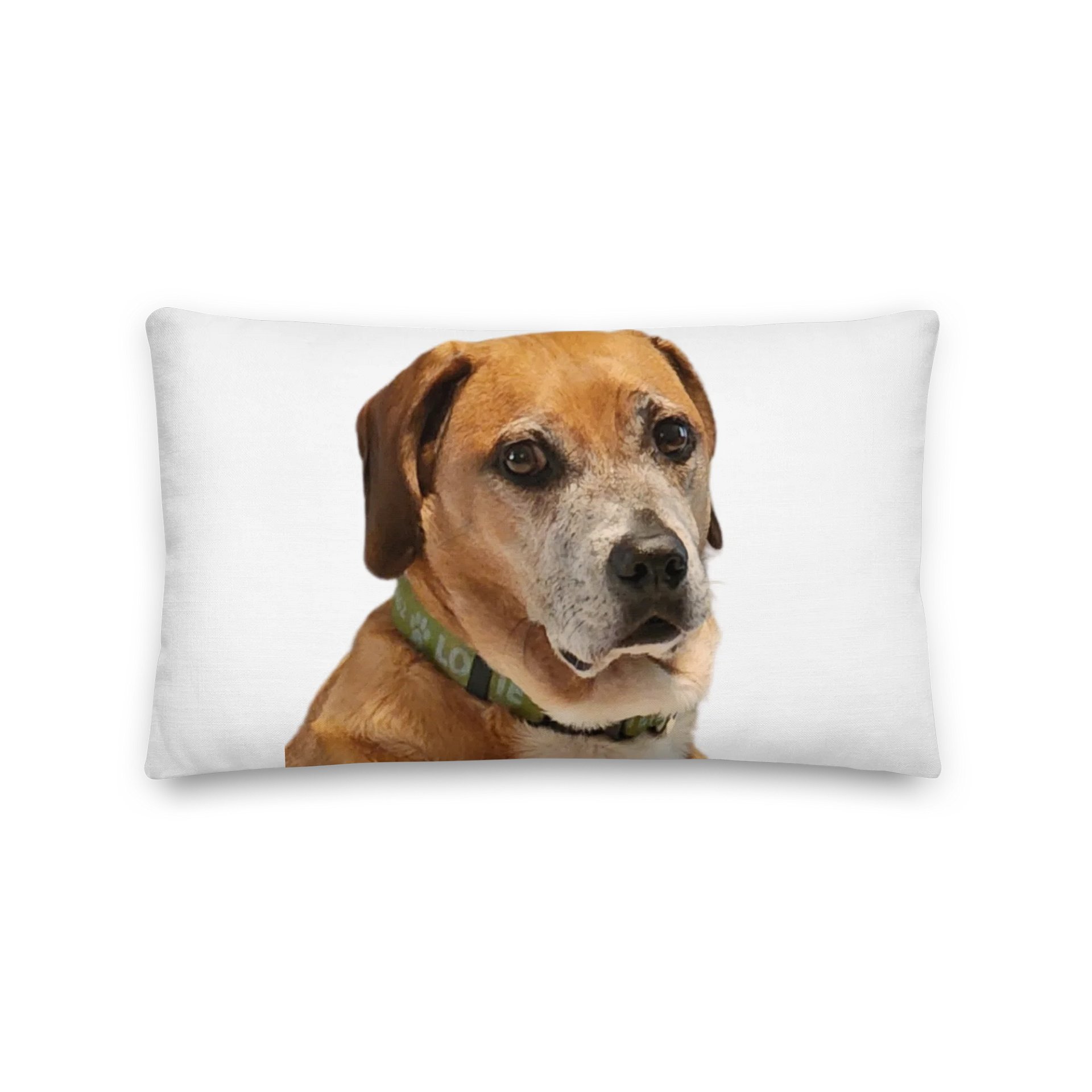 Louie Love & Judge Pillow product image (5)