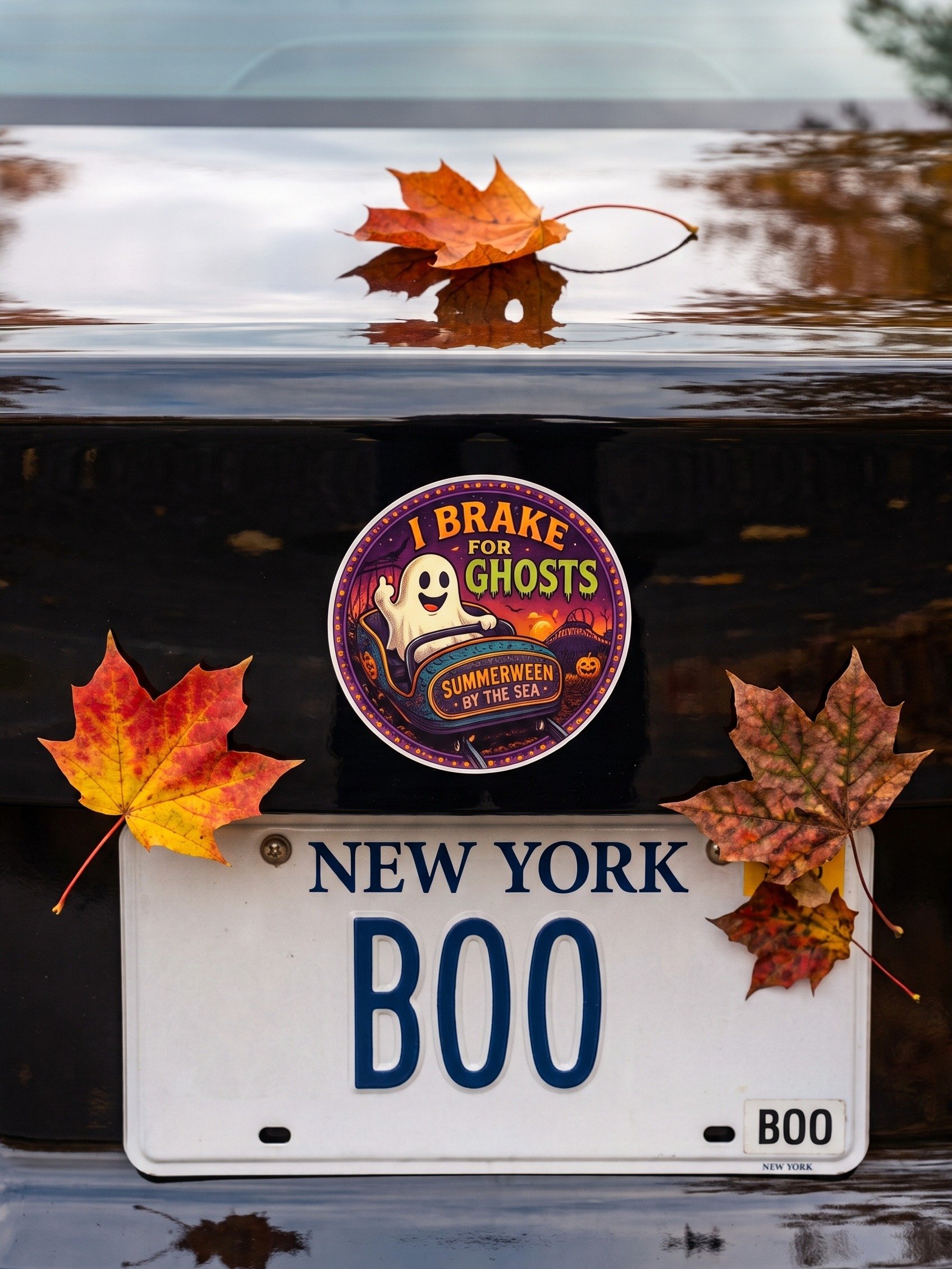 I BRAKE FOR GHOSTS product image (1)