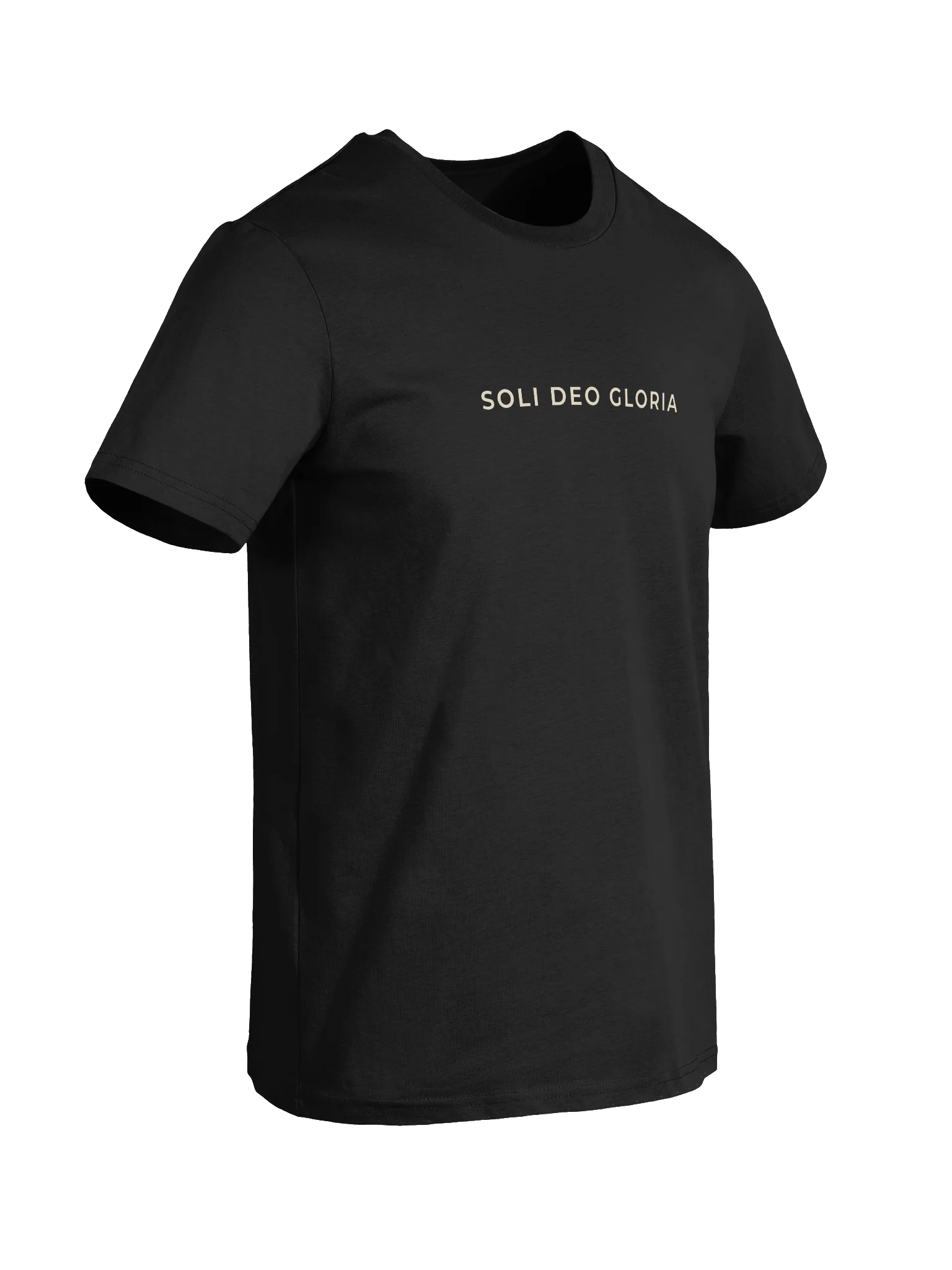 SOLI DEO GLORIA ORGANIC TEE product image (33)