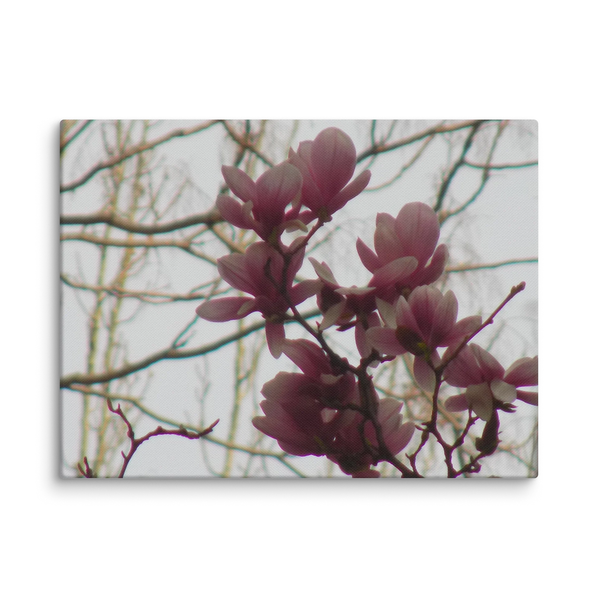 Magnolia product image (1)