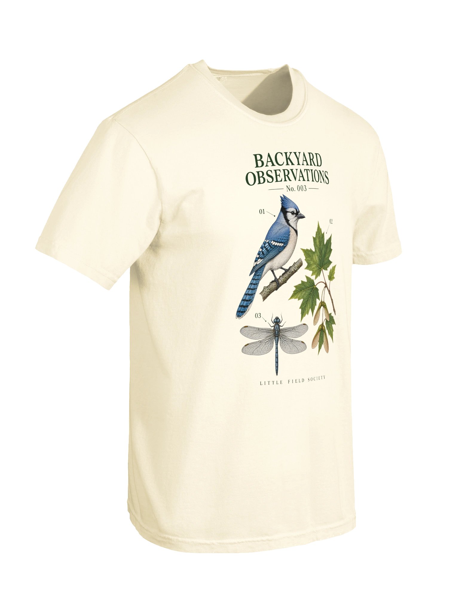 Backyard Observations No. 003 — Blue Jay & Maple T-Shirt product image (10)