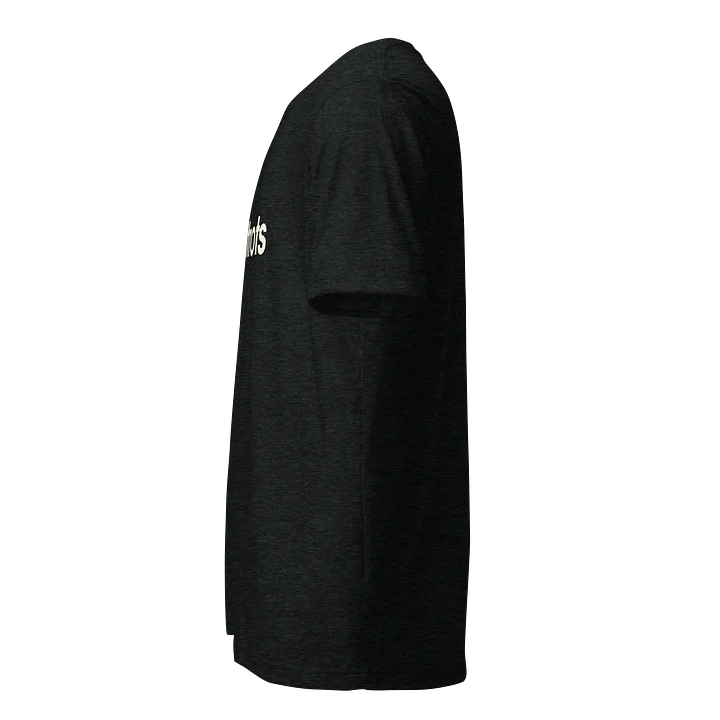 2026 Collection Triblend Tee - Dark product image (2)