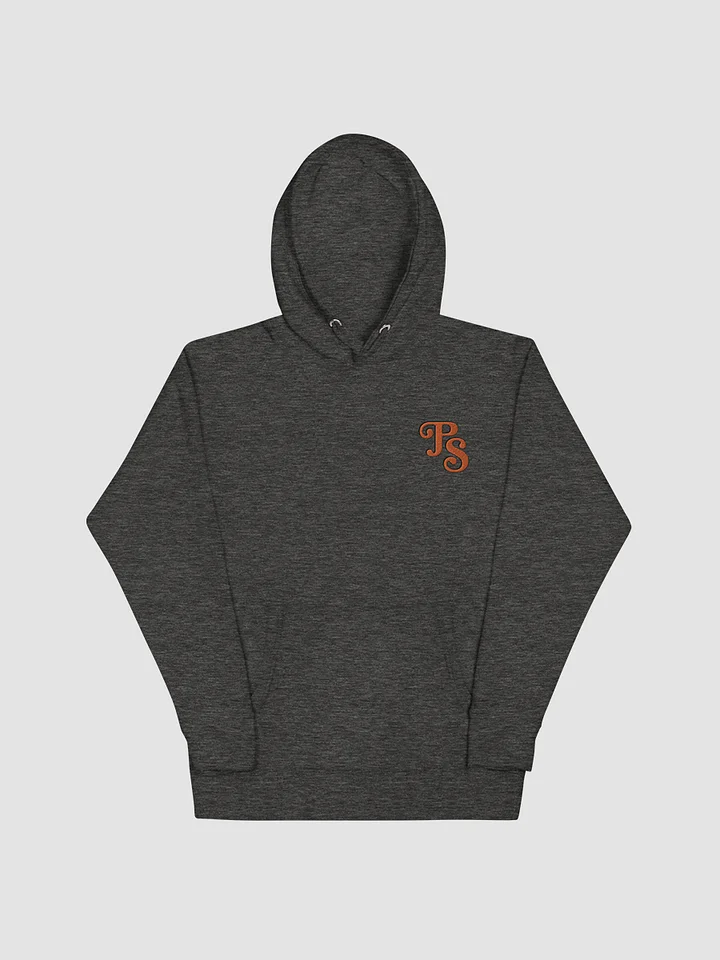 Popular Science Retro Logo Embroidered Hoodie product image (1)