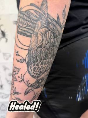 Healed fineline raven and floral tattoos. The raven was a custom design and the floral was from one of my flash sheets. I will be opening books for tattoos in Los Angeles/Pasadena this fall. #finelinetattoo #raventattoo #californiatattooartist #floraltattoo #gothtattoos 