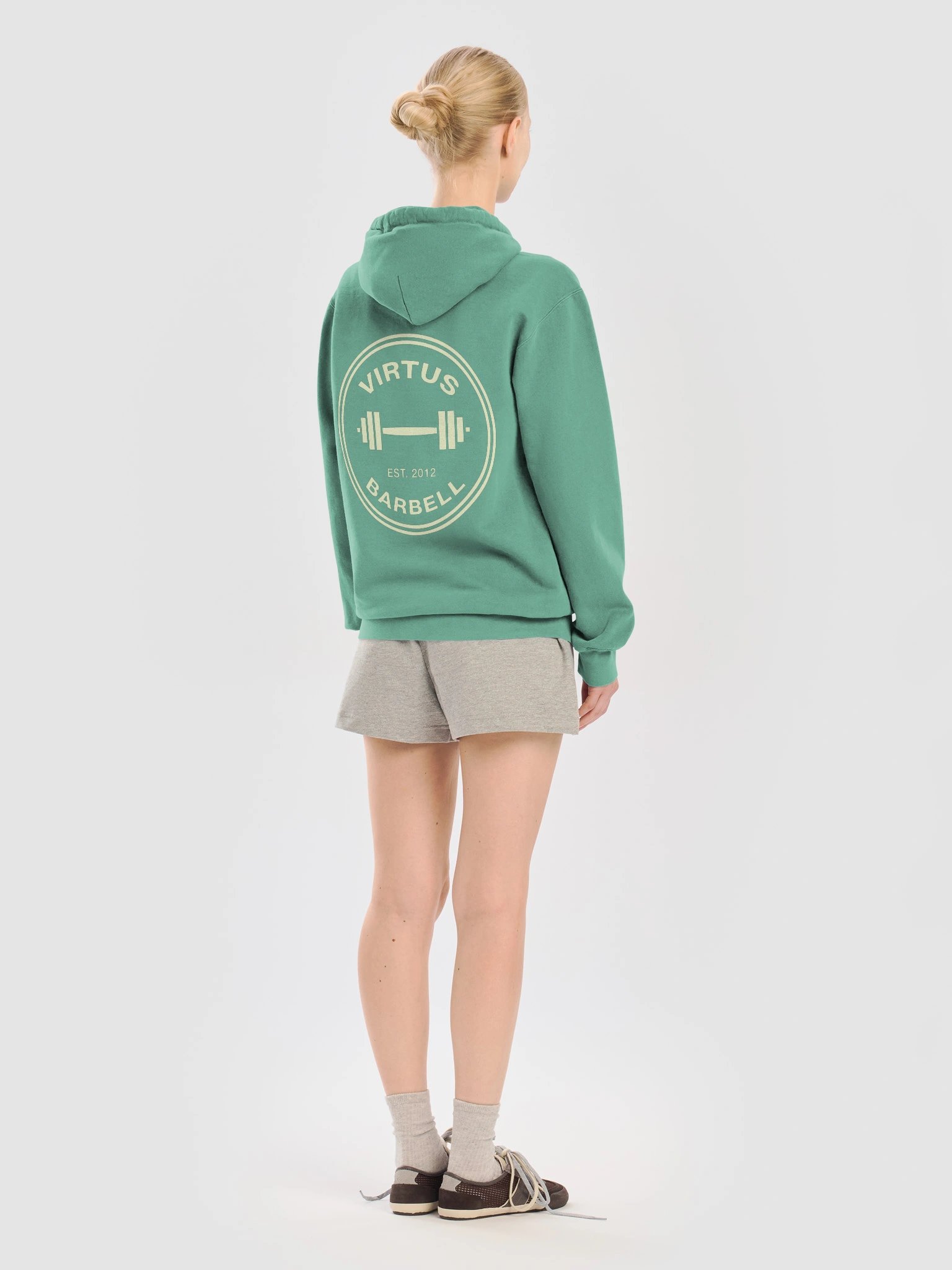 Virtus Vintage Collegiate Hoodie product image (72)