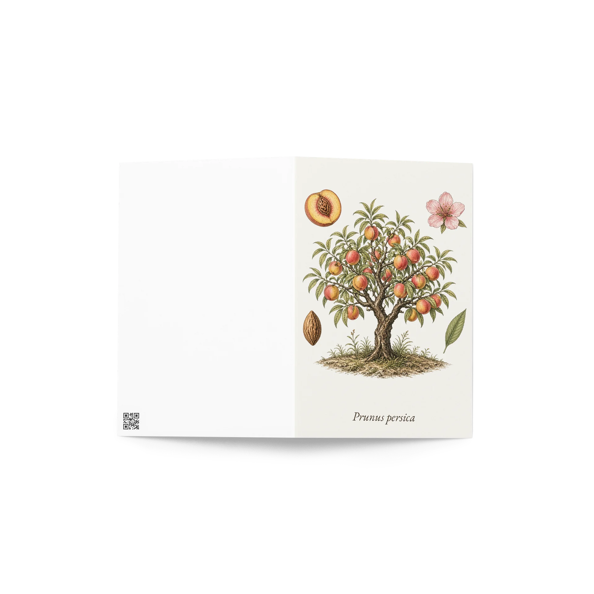 Vintage Botanical Peach Greeting Card product image (4)