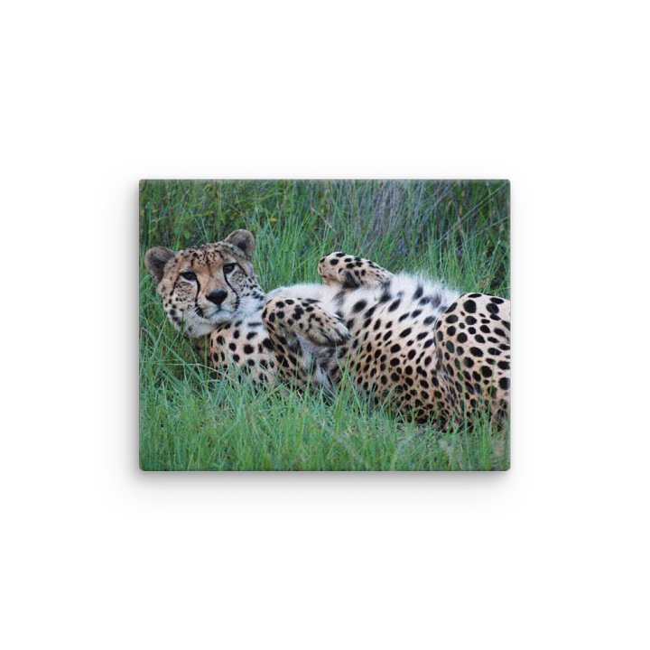 Cheetah Canvas Print product image (4)