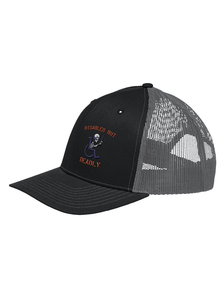 Disabled But Deadly Parking Snapback product image (2)