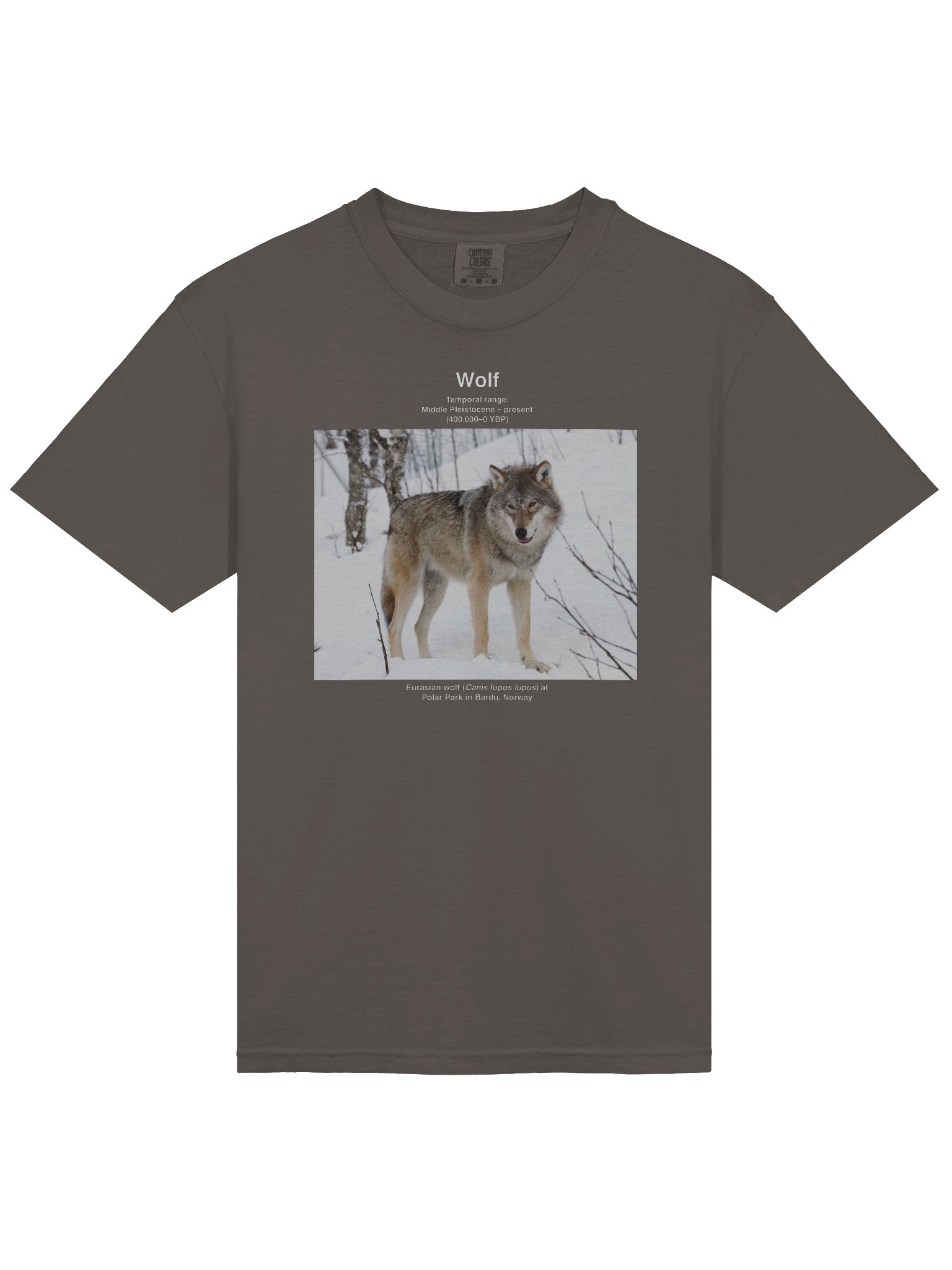 Wolf Wikishirt product image (3)
