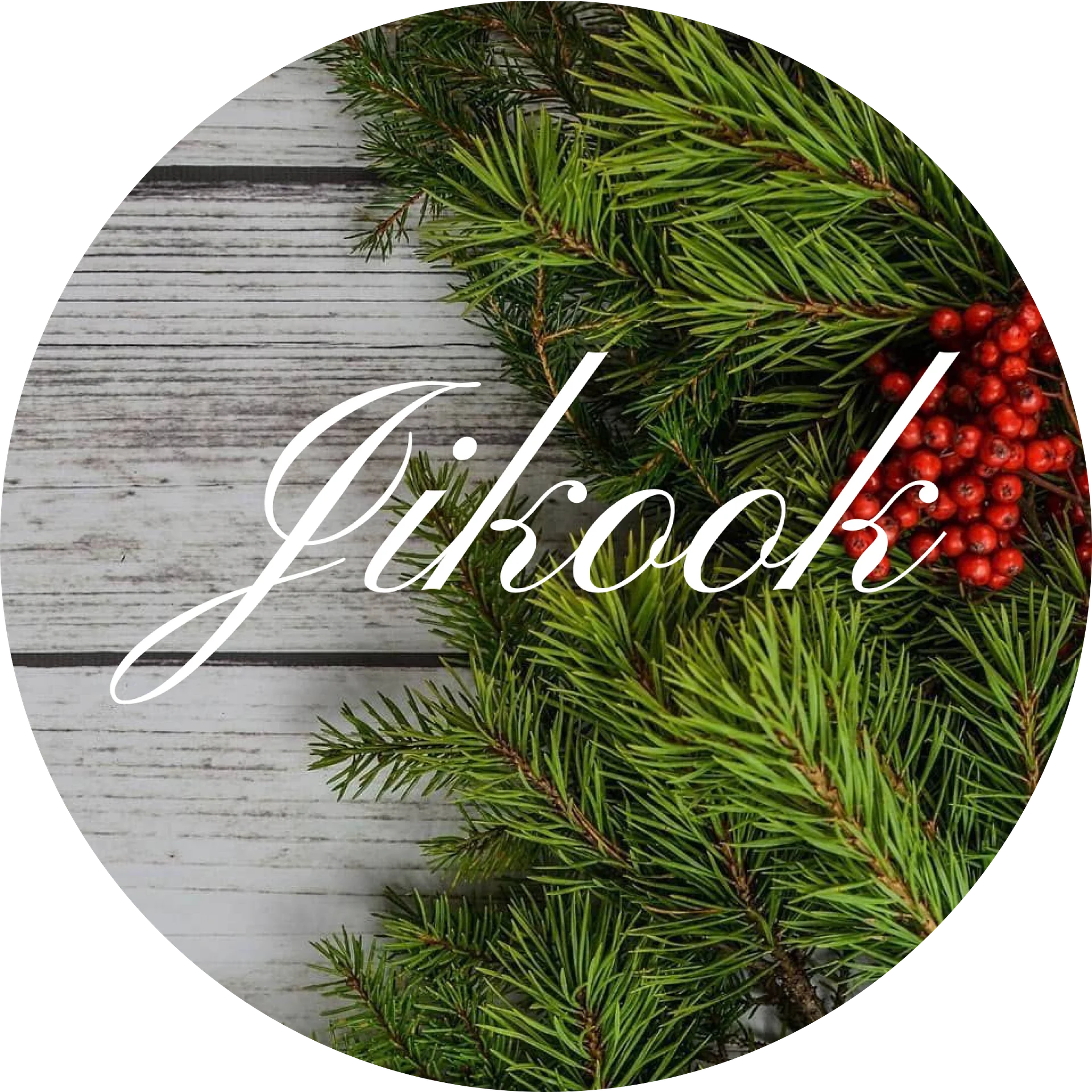 New Free Christmas pfpDigital Product product image (1)