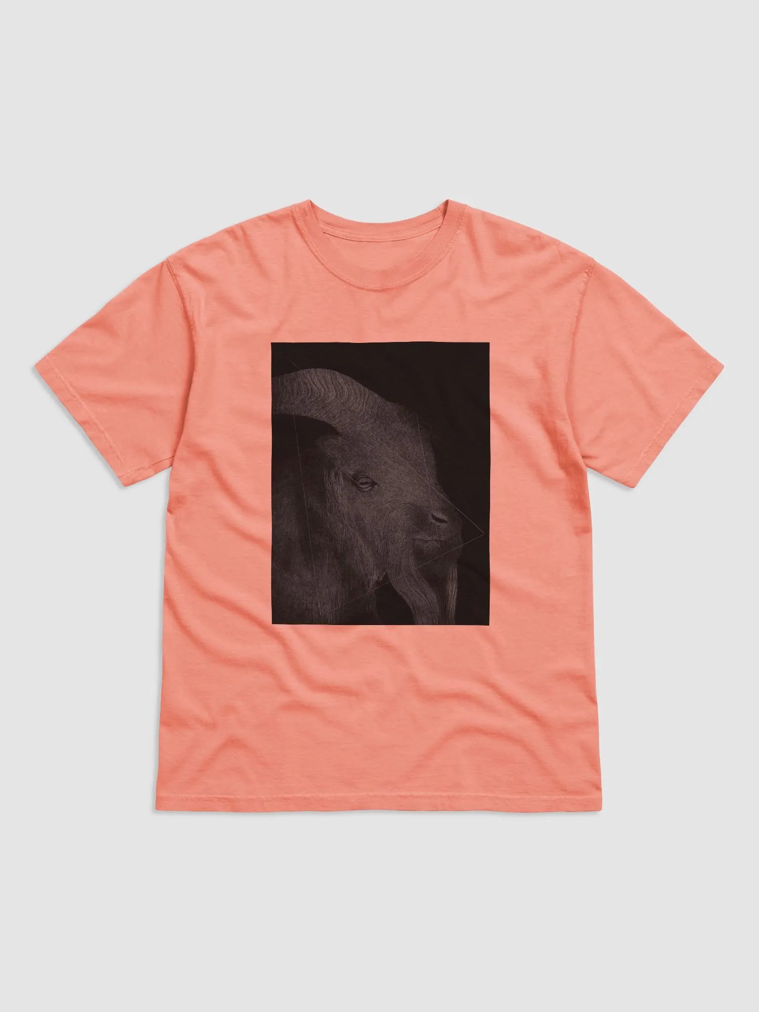 Cash product image (4)